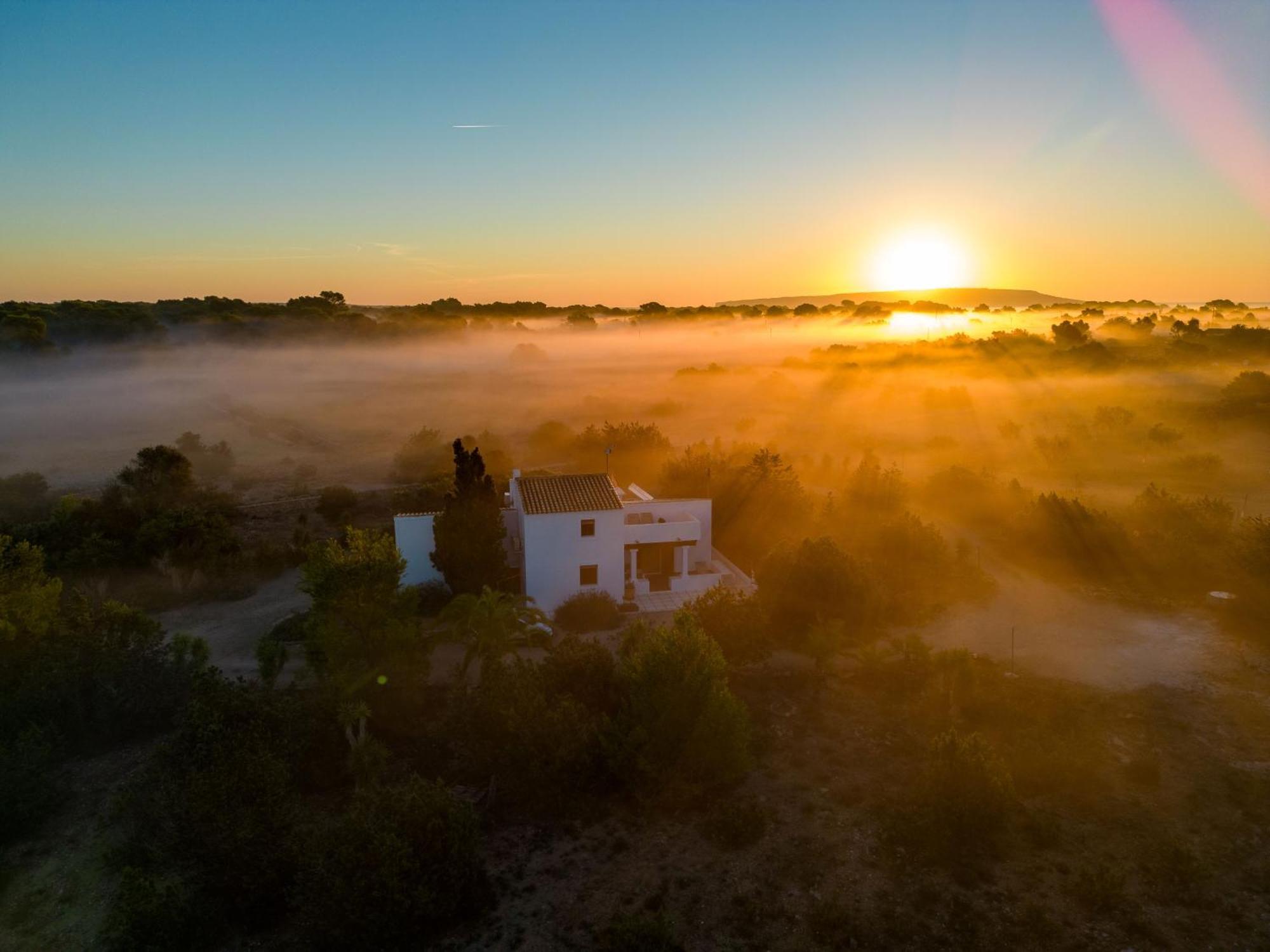 Ses Oliveres Villa Cala Saona Eksteriør bilde